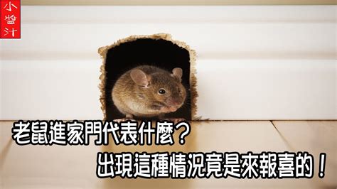 家裡出現老鼠代表什麼 夫妻名字